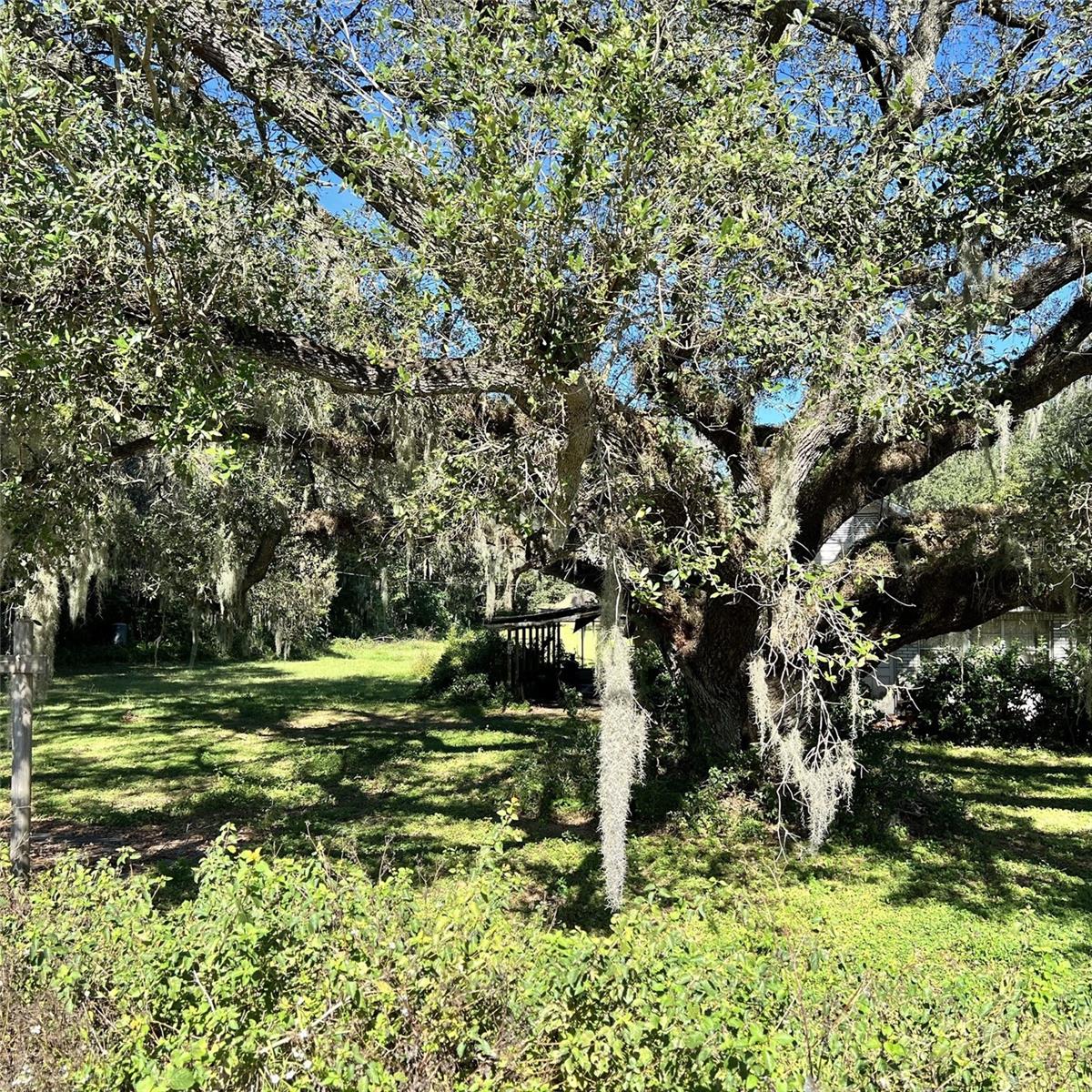 4504 E COUNTY ROAD 540A, LAKELAND, FL — photo 7