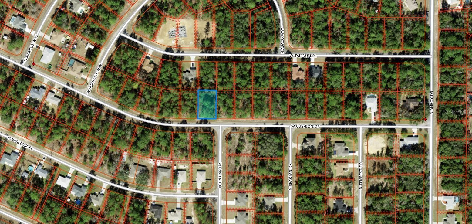 3357 W CUSHION DR, CITRUS SPRINGS, FL