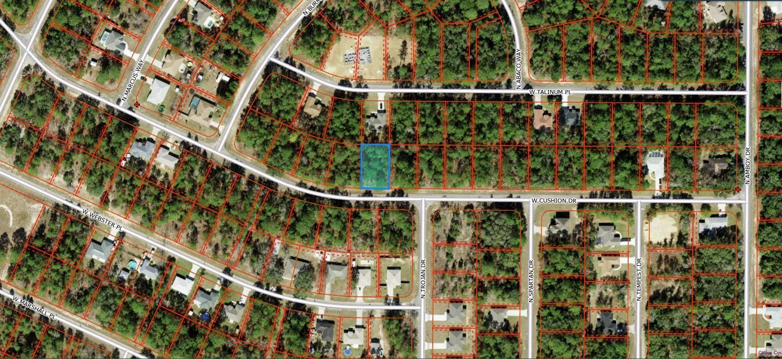 3369 W CUSHION DR, CITRUS SPRINGS, FL