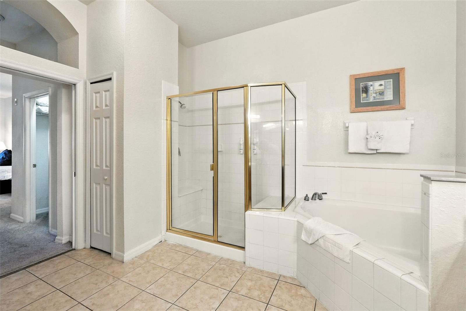 809 GRAN BAHAMA BLVD #30809, DAVENPORT, FL — photo 13