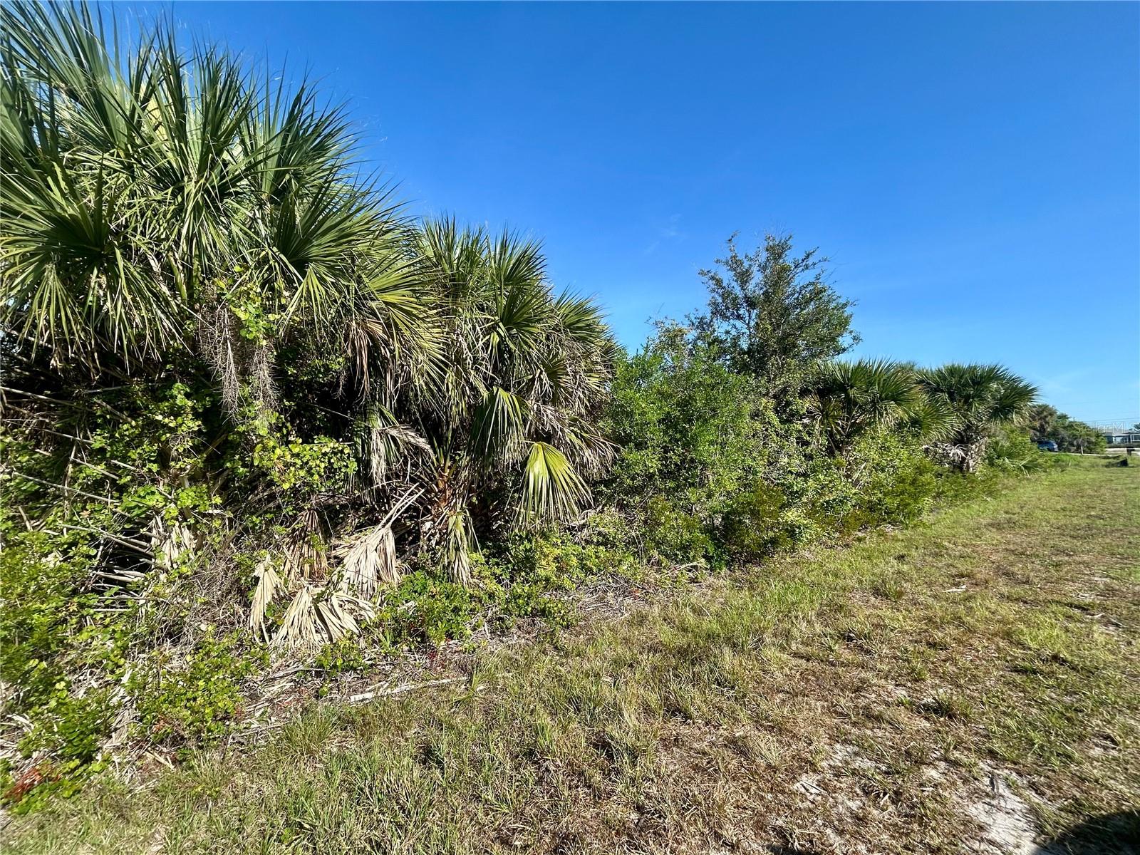 10039 ALVAREZ ST, PORT CHARLOTTE, FL