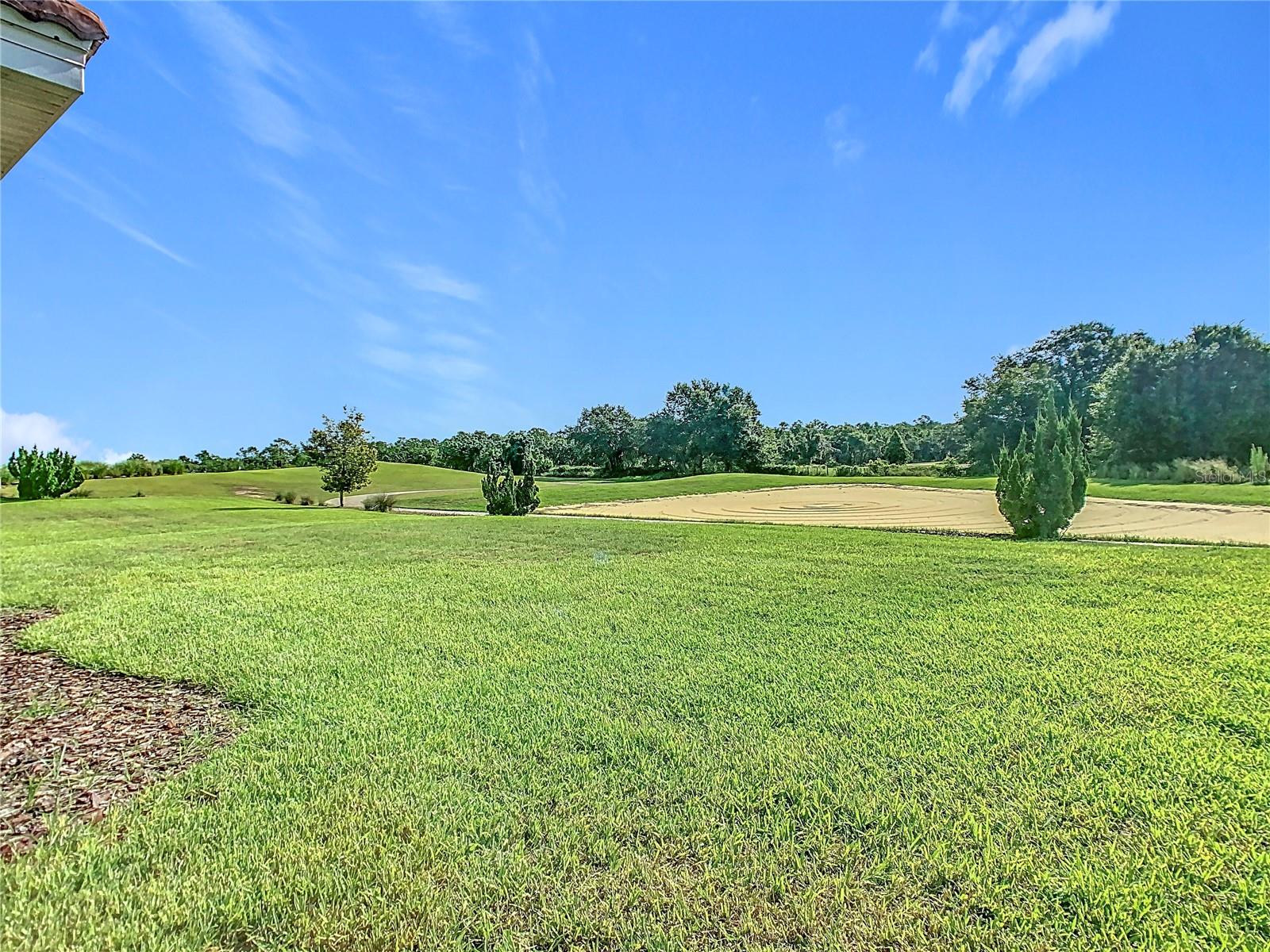1059 BLACKWOLF RUN RD, DAVENPORT, FL — photo 41
