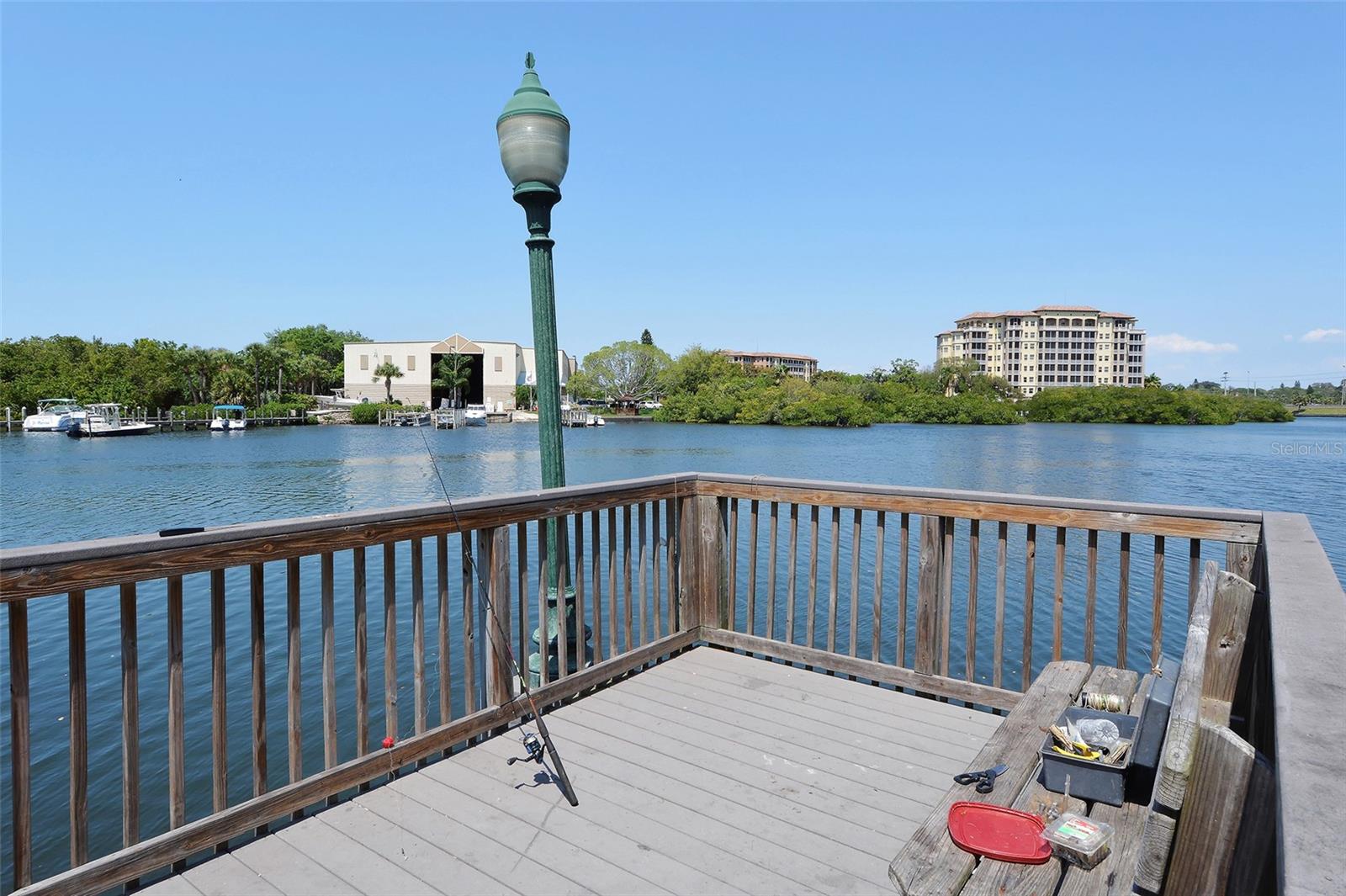 2308 WATERBLUFF PL #V304, SARASOTA, FL — photo 62