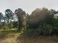 HAMERTON RD — photo 1
