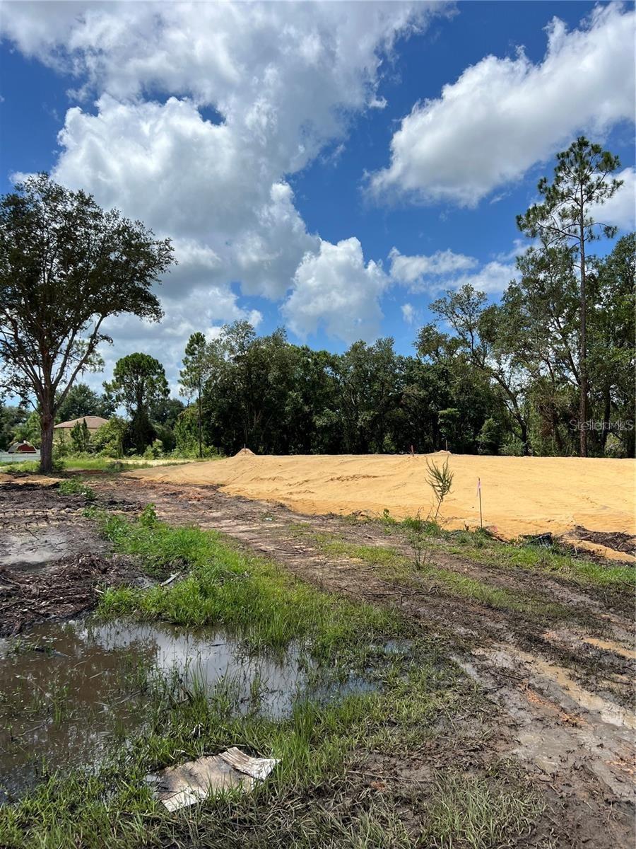 210 SPOONBILL DR, KISSIMMEE, FL