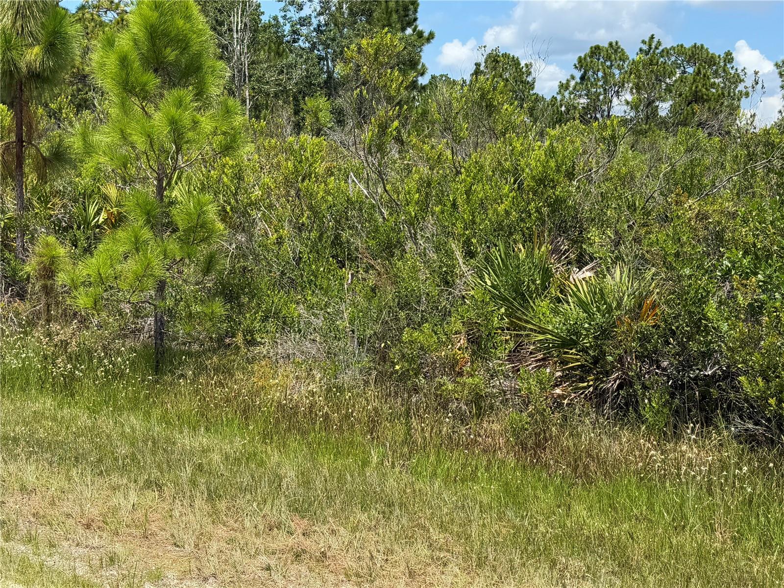 SARASOTA DR, INDIAN LAKE ESTATES, FL — photo 8