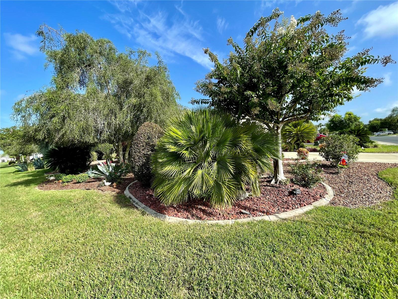 1708 SW 155TH PLACE RD, OCALA, FL — photo 8
