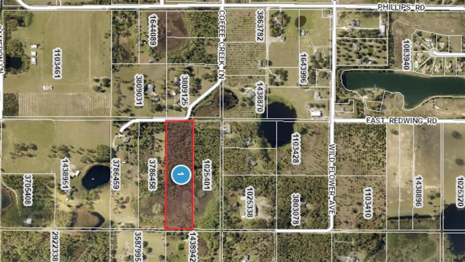 00 COFFEE CREEK LANE, GROVELAND, FL — photo 3