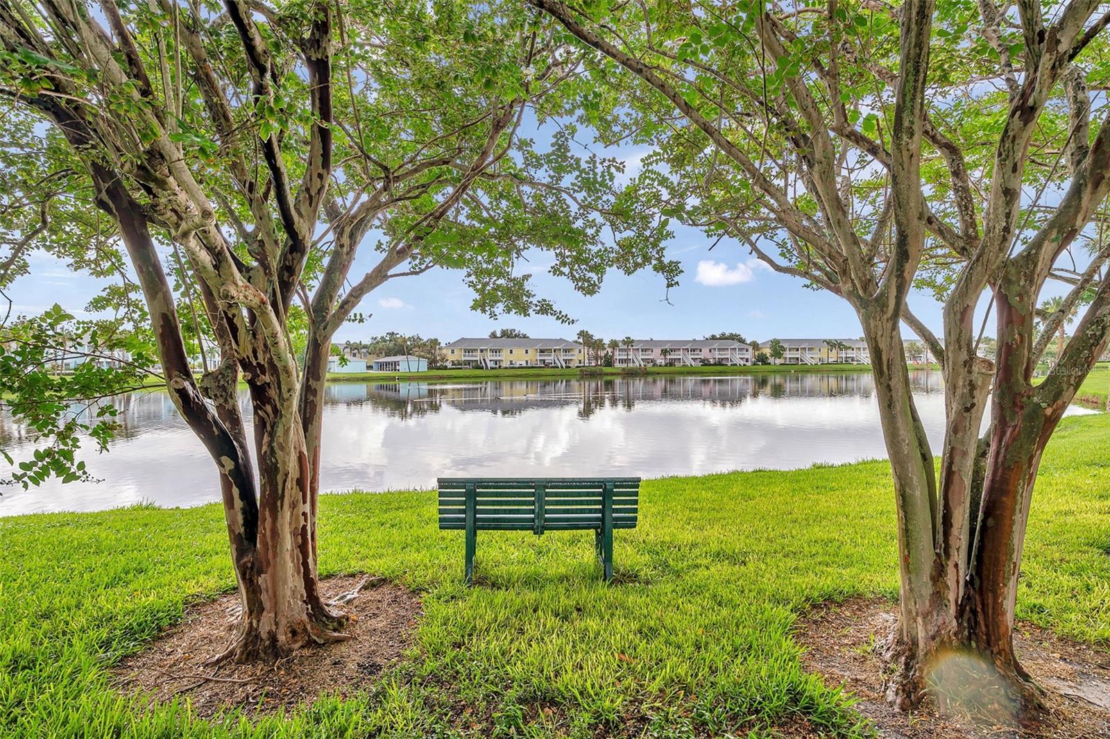 121 SEAHORSE DR SE #A, ST PETERSBURG, FL — photo 29