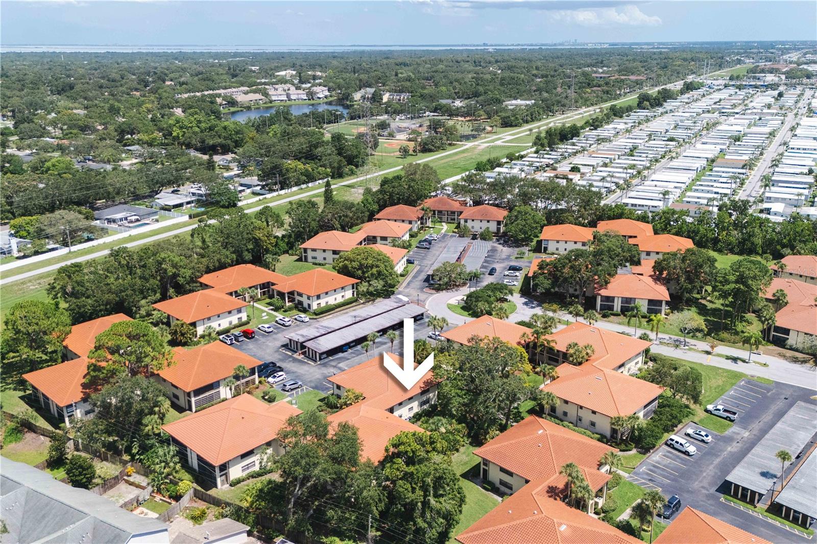 1109 HAMMOCK PINE BLVD, CLEARWATER, FL — photo 12