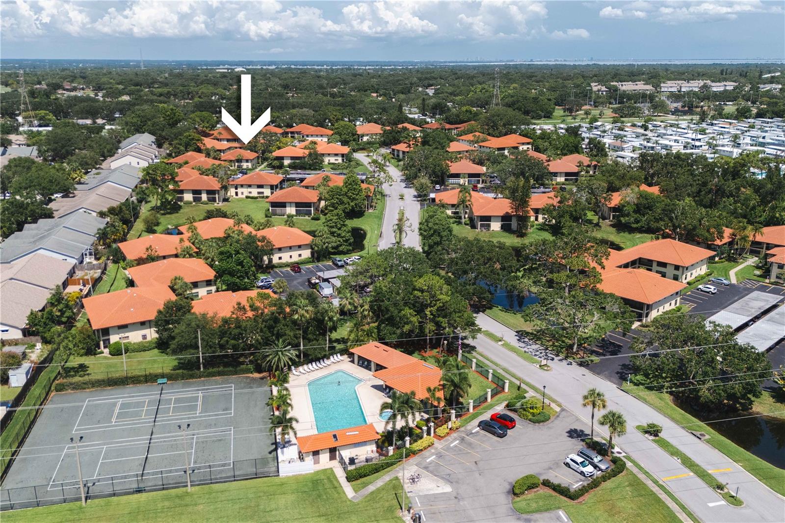1109 HAMMOCK PINE BLVD, CLEARWATER, FL — photo 14