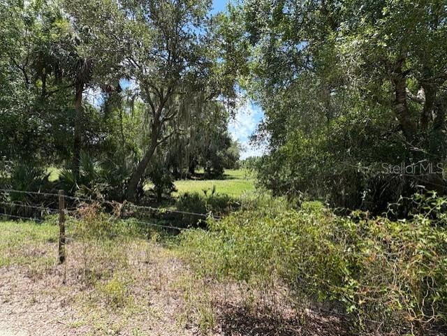 10613 SE FOSTER AVE, ARCADIA, FL