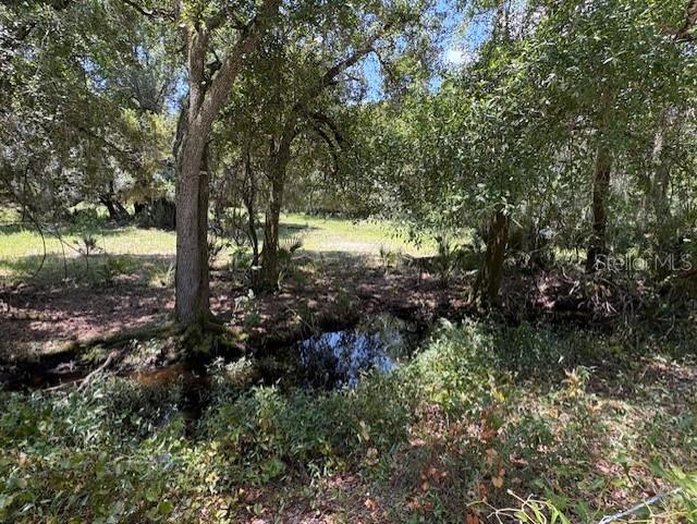 10613 SE FOSTER AVE, ARCADIA, FL — photo 2