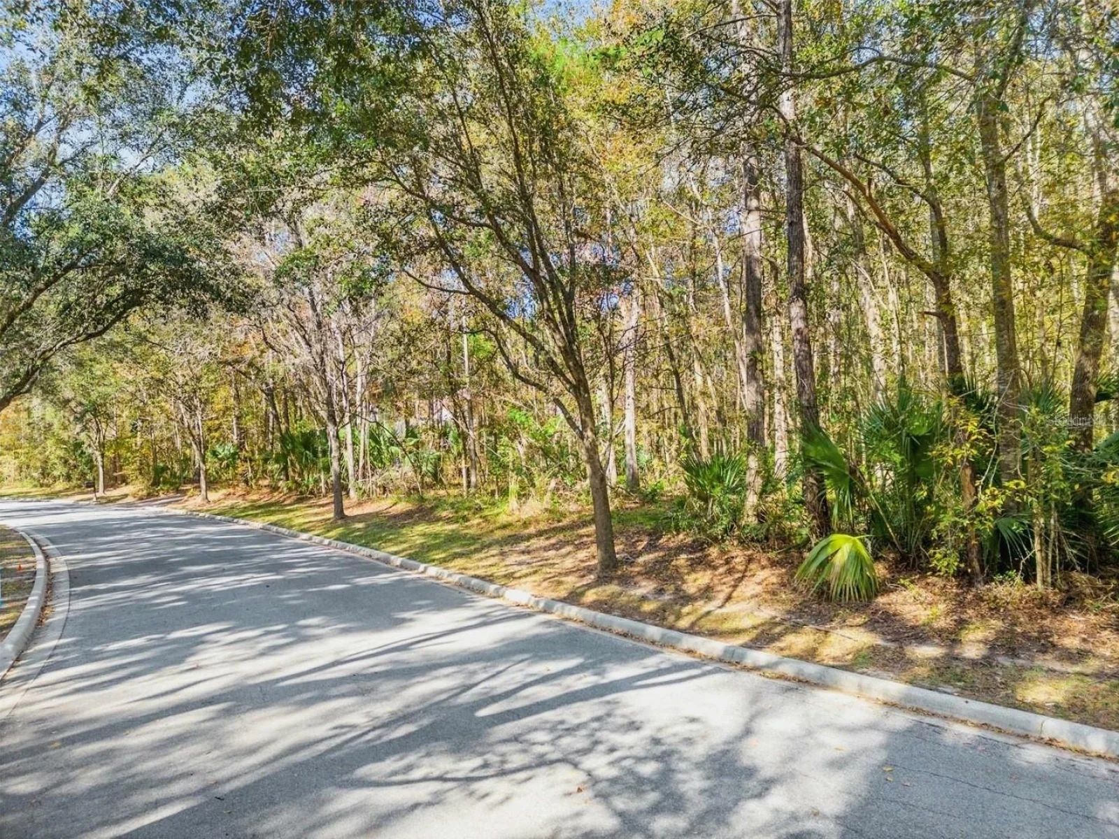 TBD SW 37TH PLACE RD, OCALA, FL — photo 6