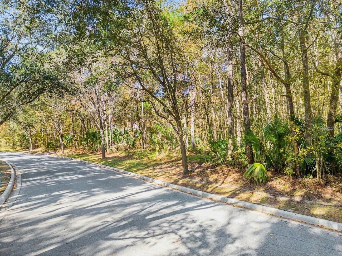 TBD SW 37TH PLACE RD, OCALA, FL — photo 5