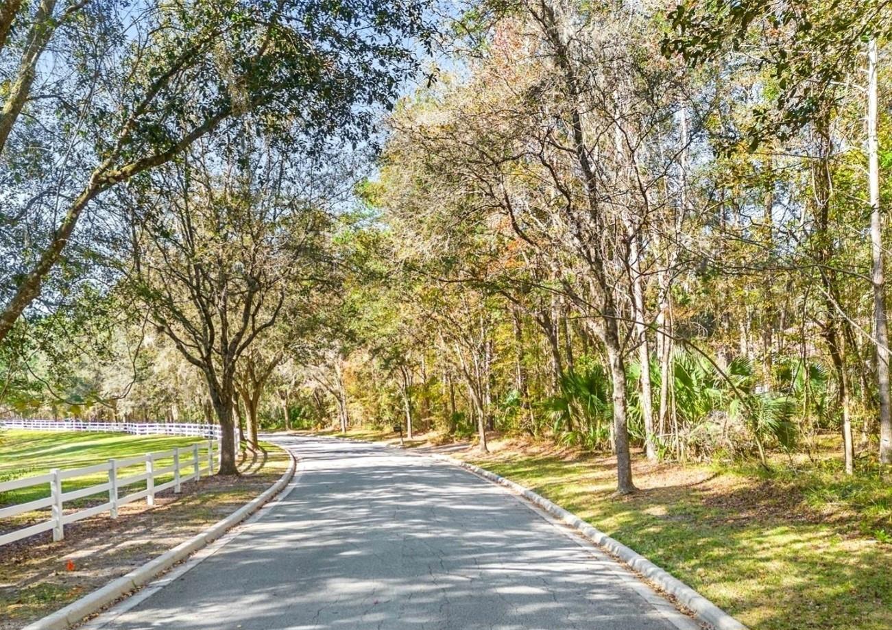 TBD SW 37TH PLACE RD, OCALA, FL — photo 3