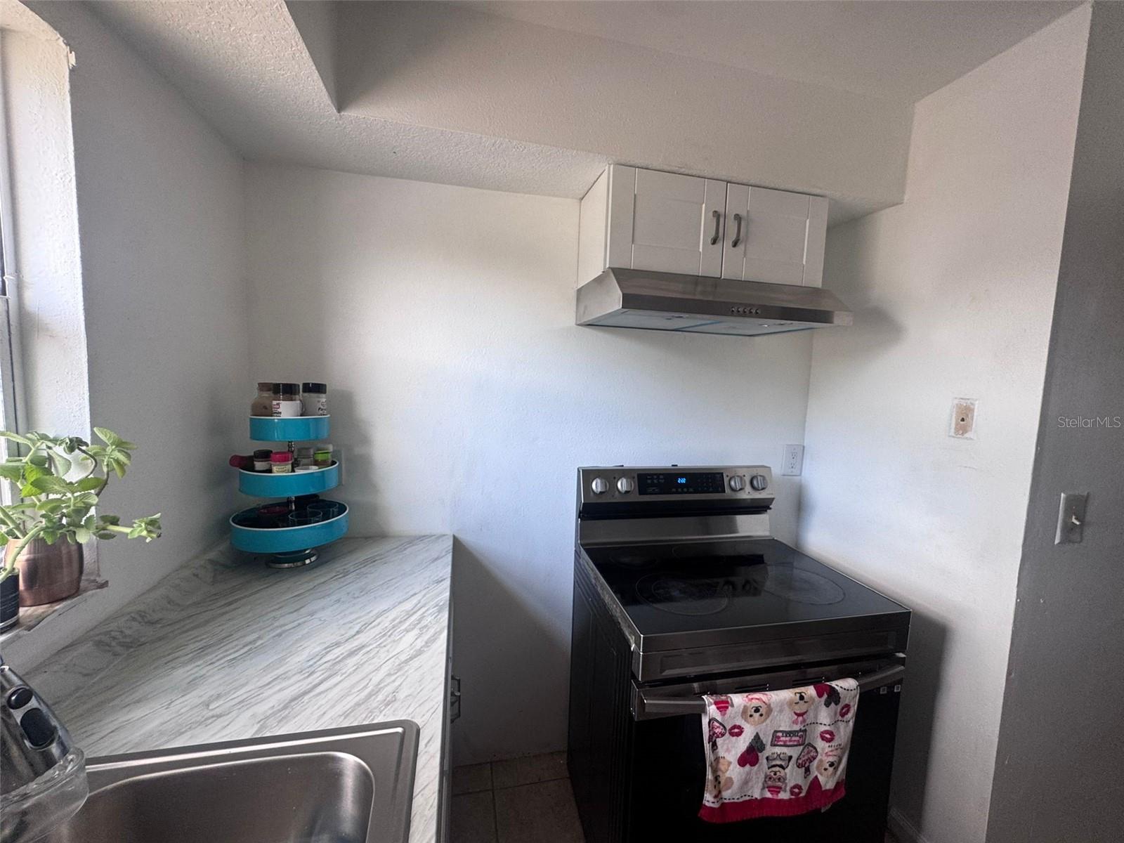 7210 N MANHATTAN AVE #2423, TAMPA, FL — photo 8