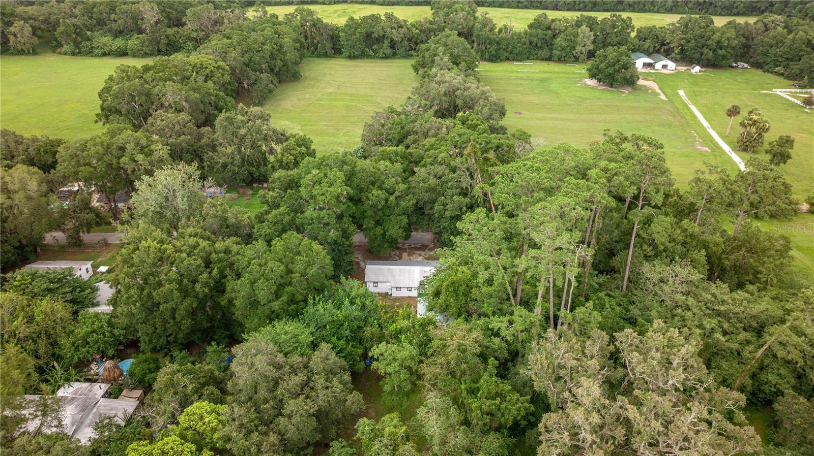 14750 NW 42ND CT, REDDICK, FL — photo 28