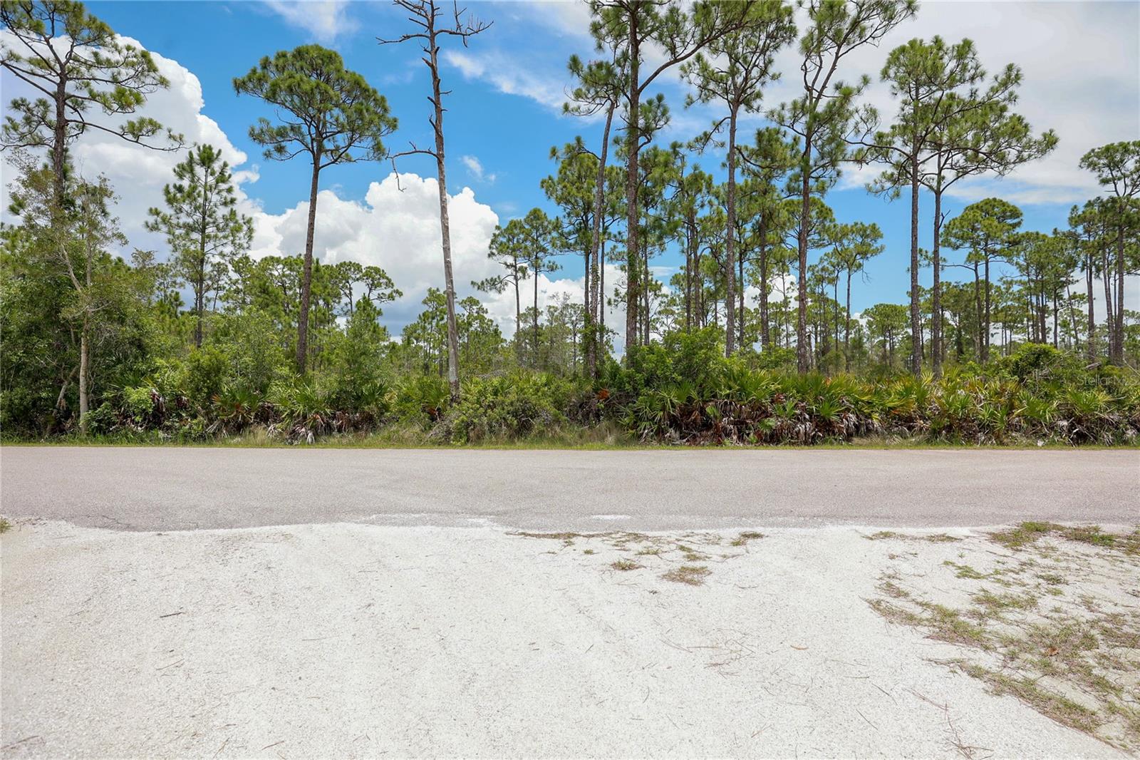 28364 PLATO DR, PUNTA GORDA, FL — photo 8