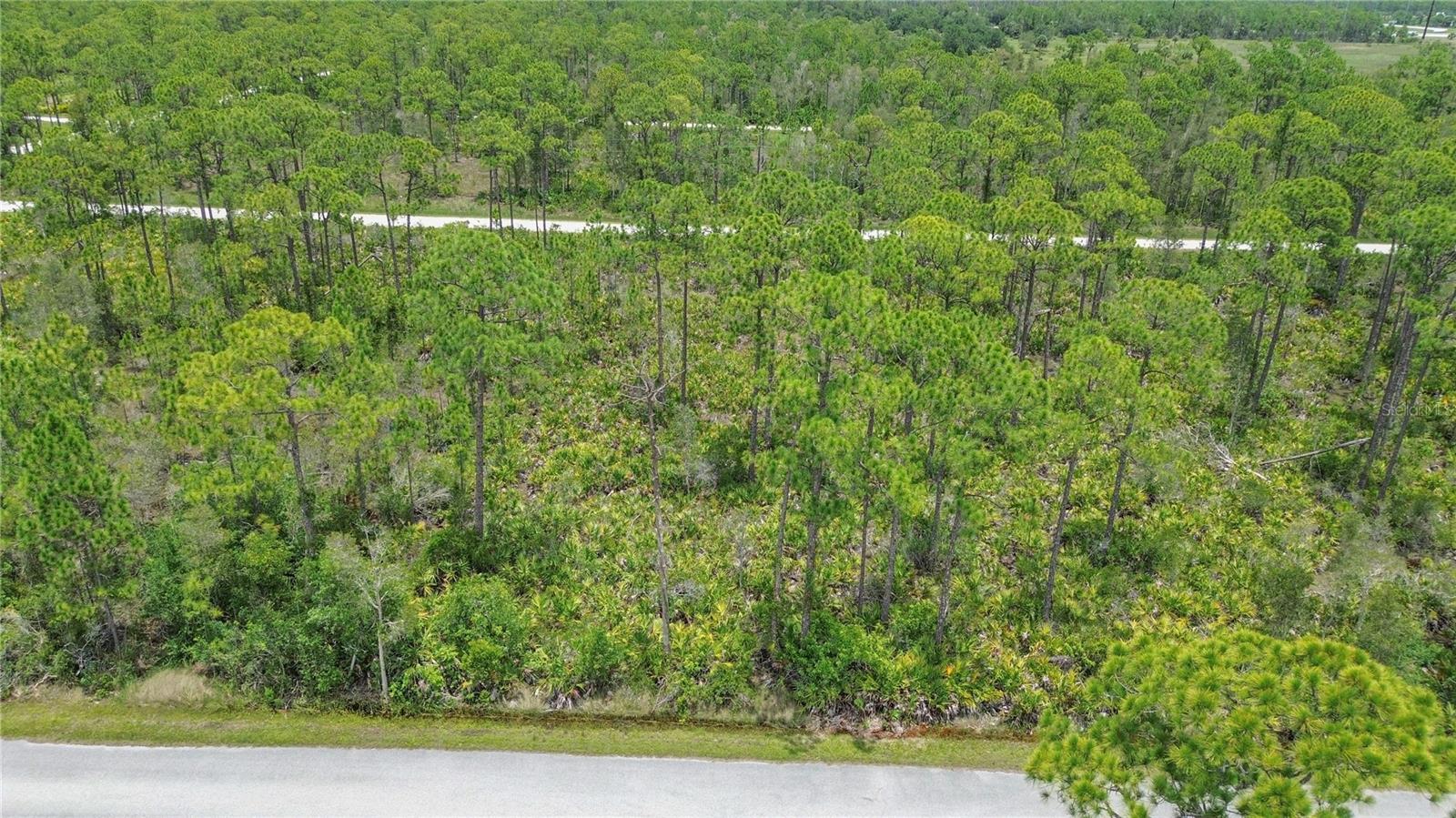 28364 PLATO DR, PUNTA GORDA, FL — photo 10