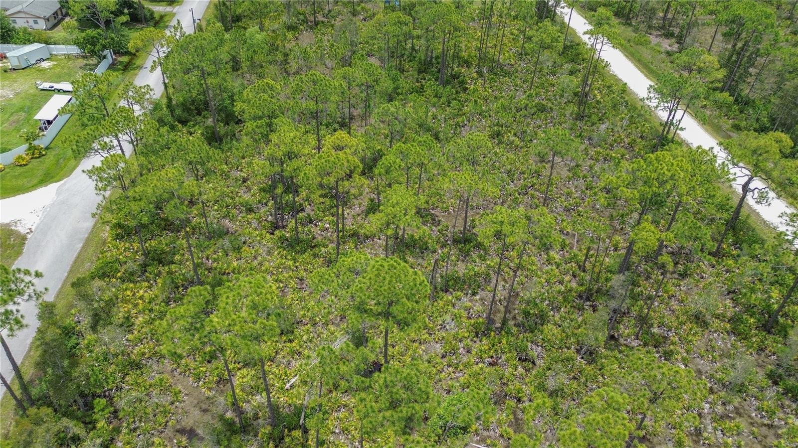 28364 PLATO DR, PUNTA GORDA, FL — photo 15
