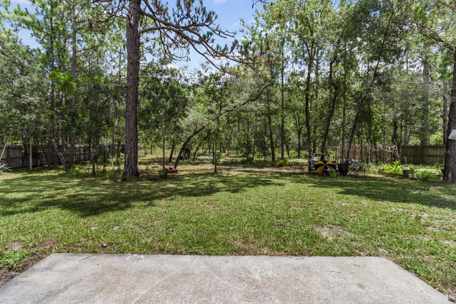 16038 MALDEN RD, WEEKI WACHEE, FL — photo 38