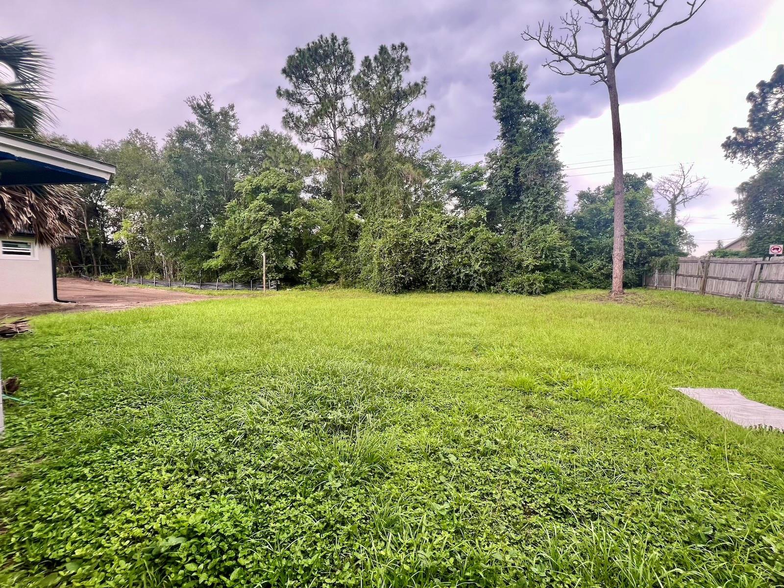 314 CHARLES AVE, ORANGE CITY, FL — photo 31