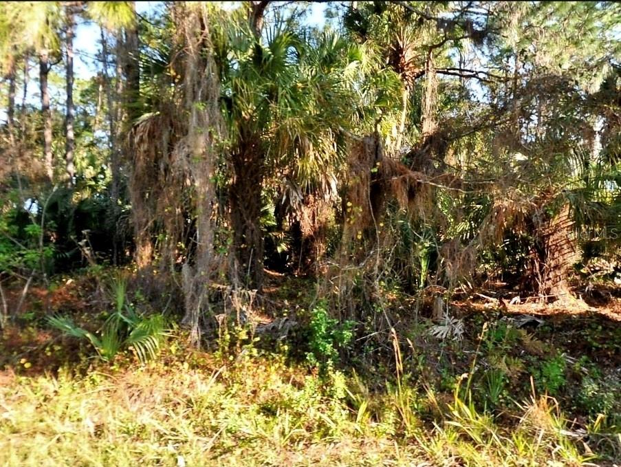 BADAL RD, NORTH PORT, FL — photo 7