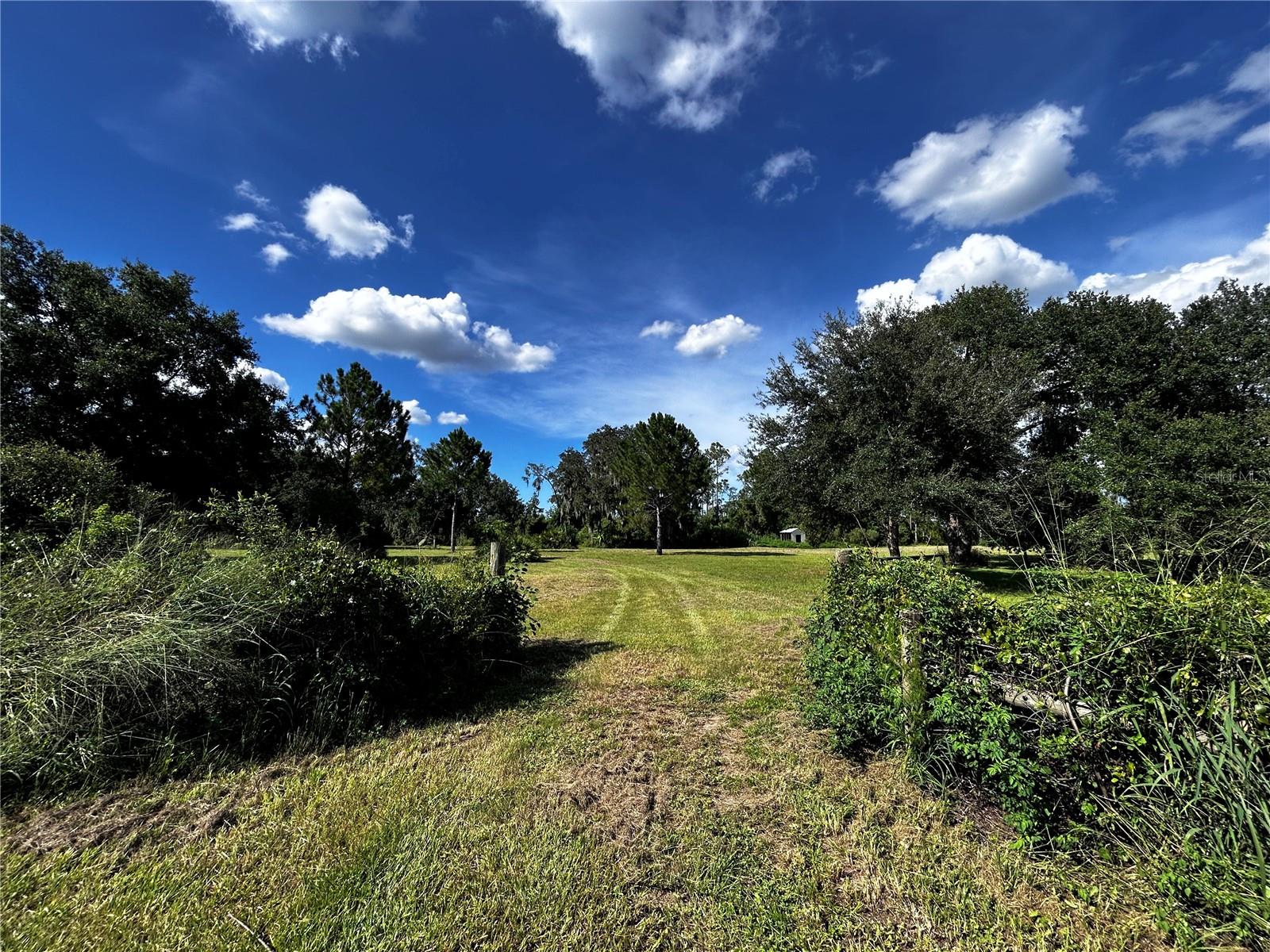 15401 CO RD 450, UMATILLA, FL — photo 4