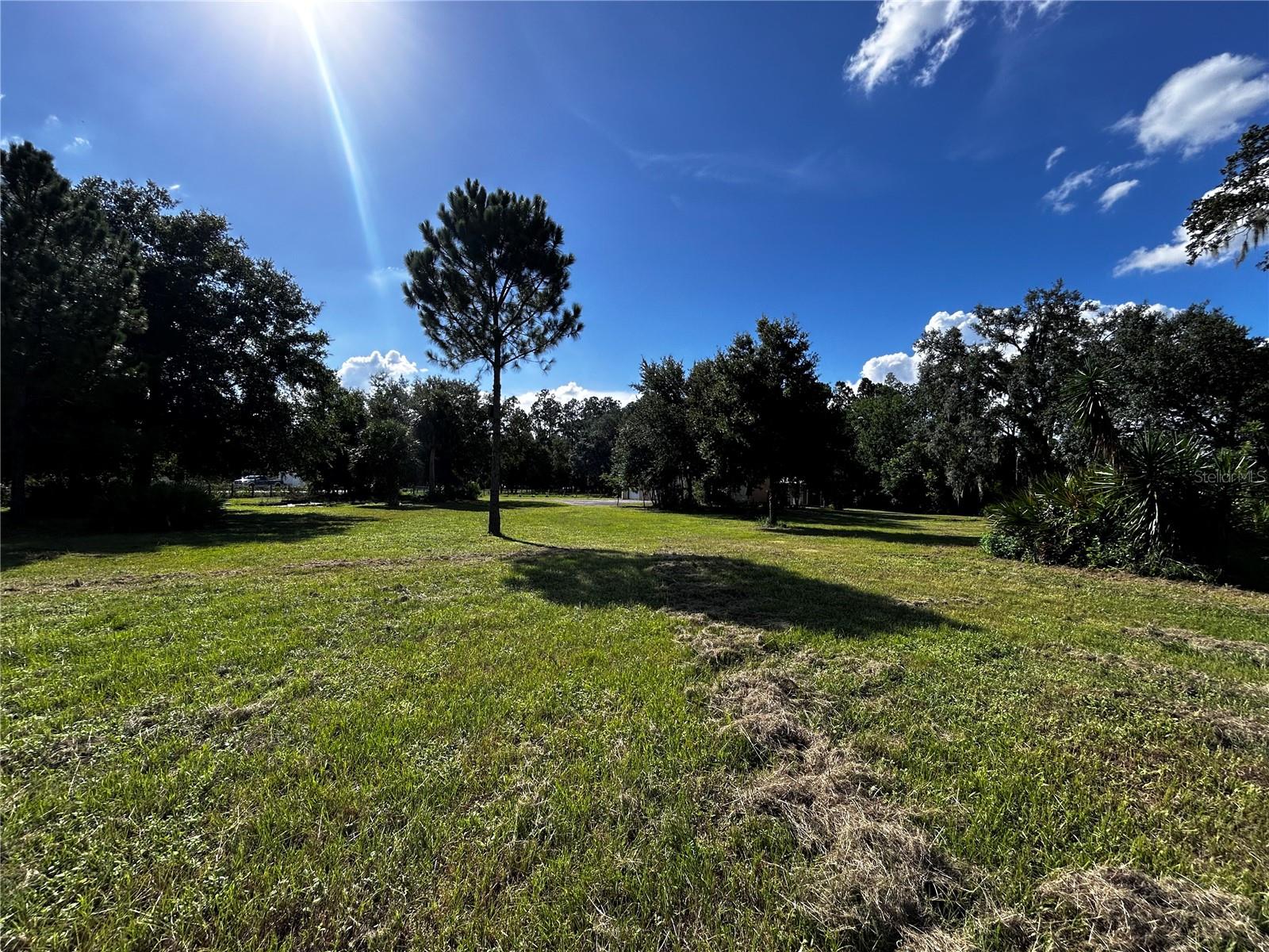 15401 CO RD 450, UMATILLA, FL — photo 5