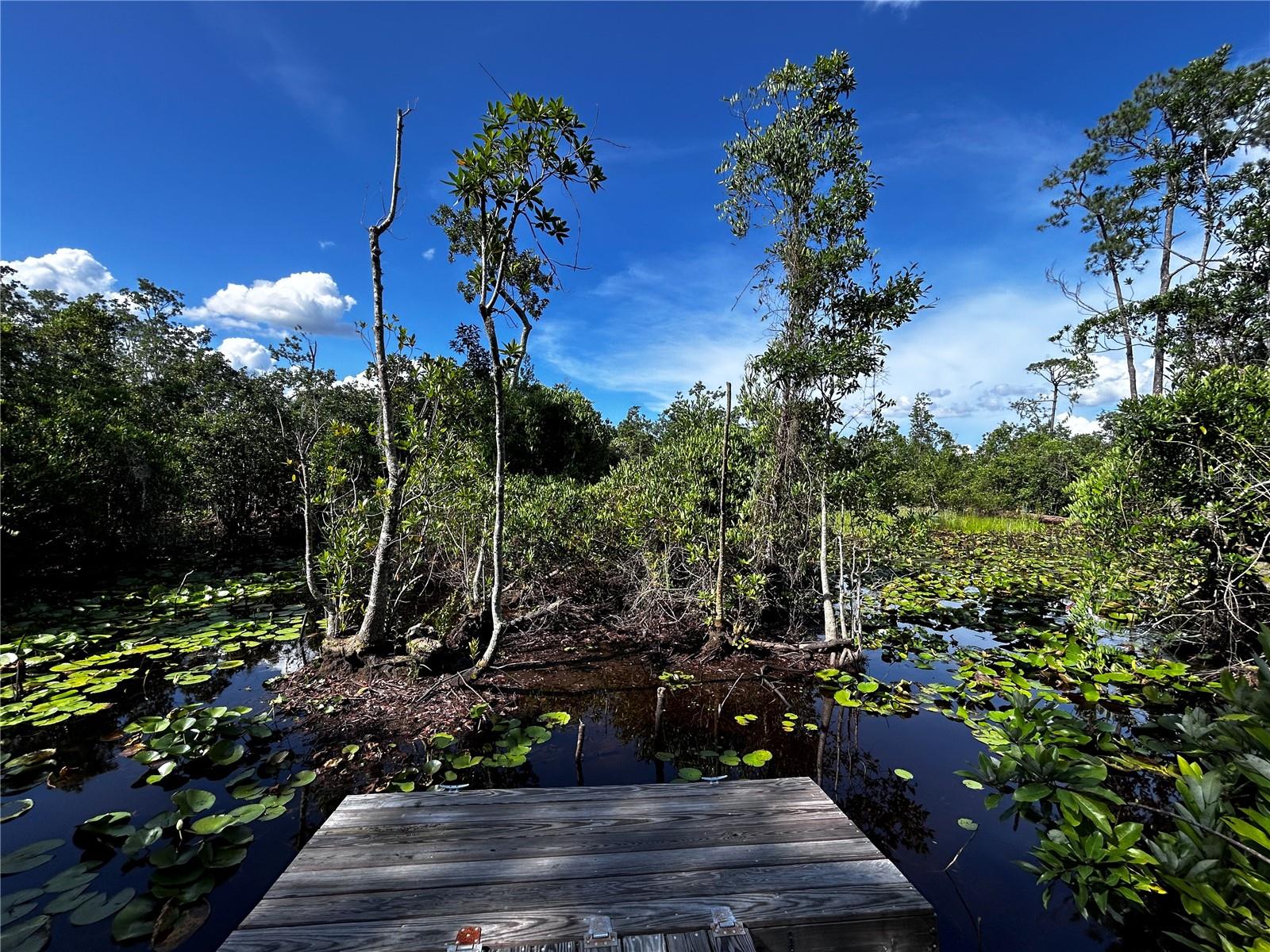 15401 CO RD 450, UMATILLA, FL — photo 17