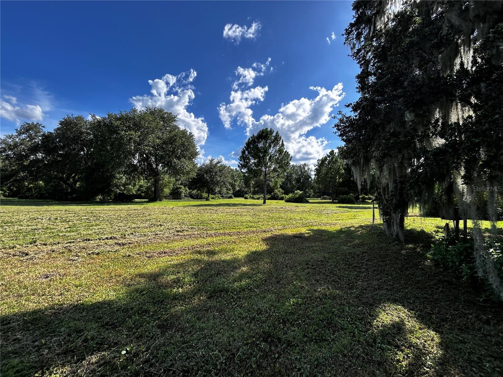 15401 CO RD 450, UMATILLA, FL — photo 36
