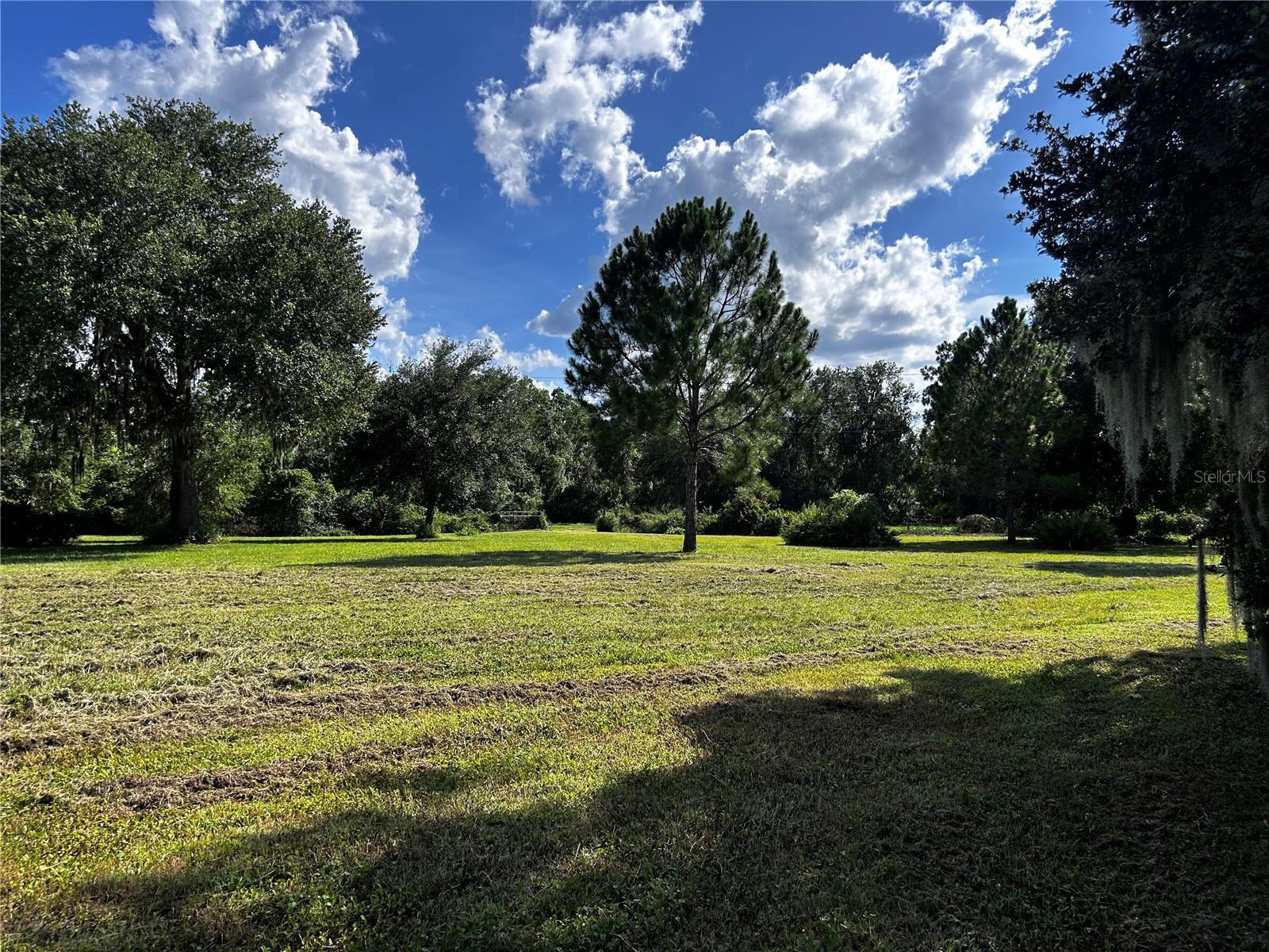 15401 CO RD 450, UMATILLA, FL — photo 37