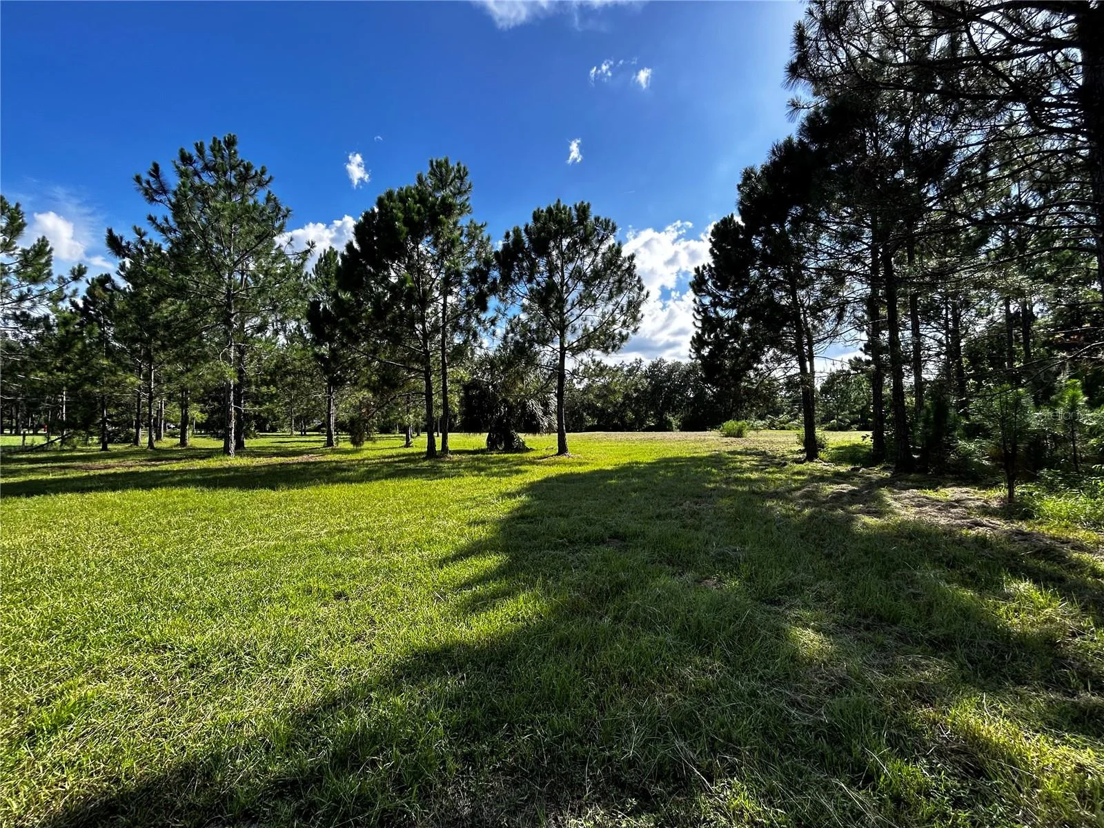 15401 CO RD 450, UMATILLA, FL — photo 40