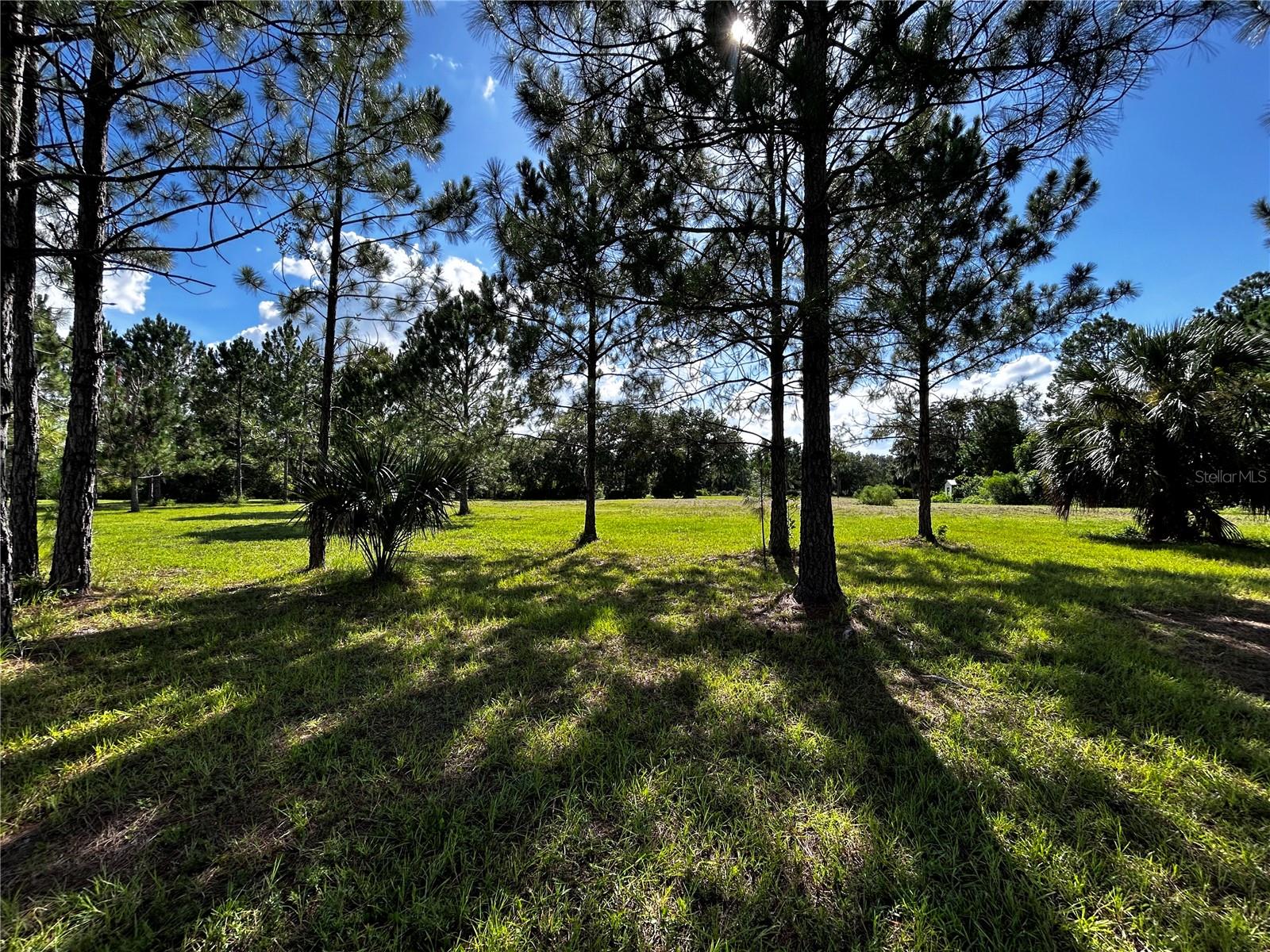 15401 CO RD 450, UMATILLA, FL — photo 42