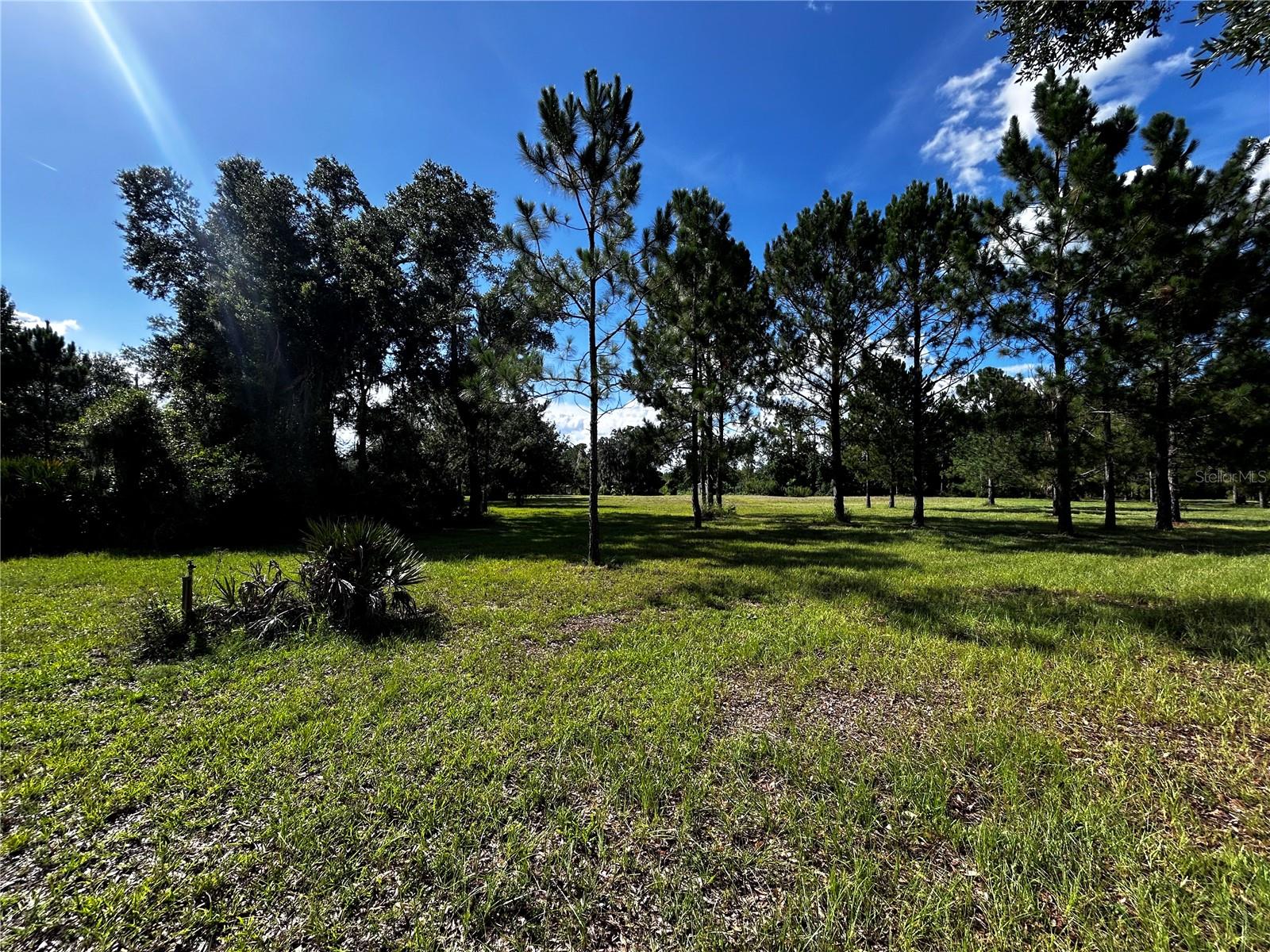 15401 CO RD 450, UMATILLA, FL — photo 43