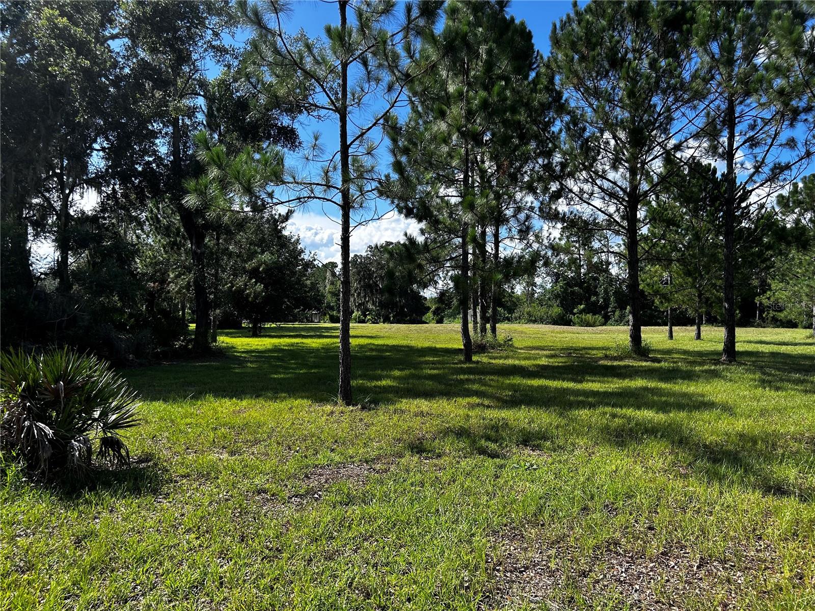 15401 CO RD 450, UMATILLA, FL — photo 46