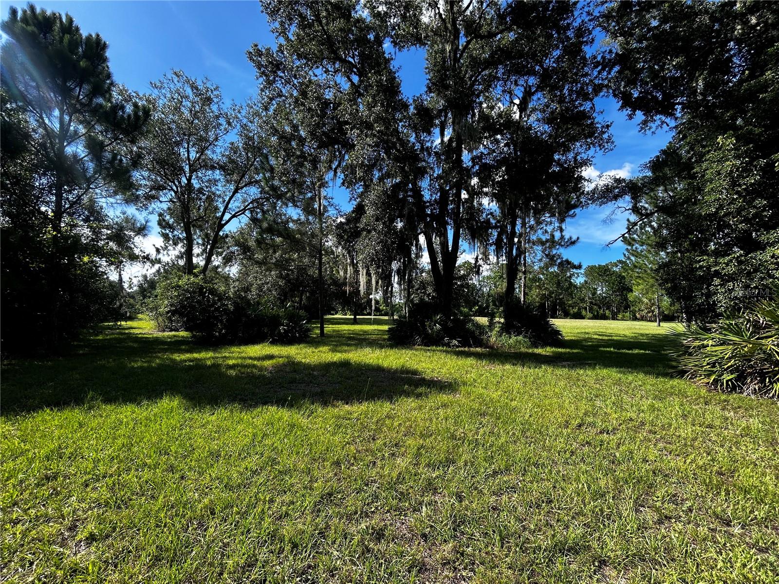 15401 CO RD 450, UMATILLA, FL — photo 47