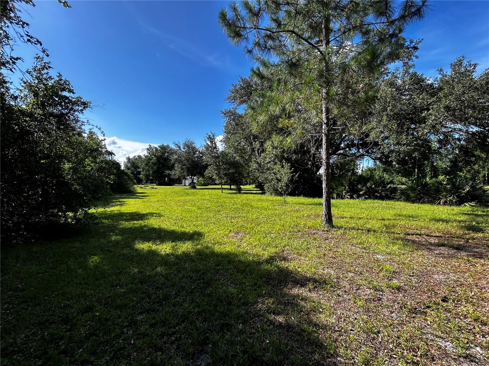 15401 CO RD 450, UMATILLA, FL — photo 50