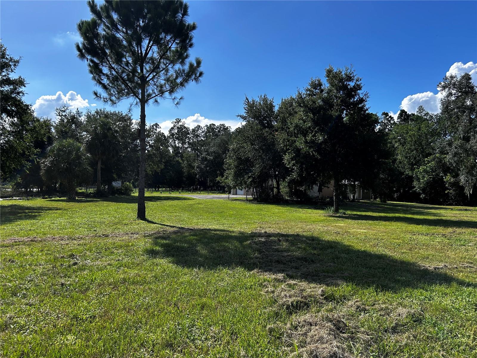 15401 CO RD 450, UMATILLA, FL — photo 51