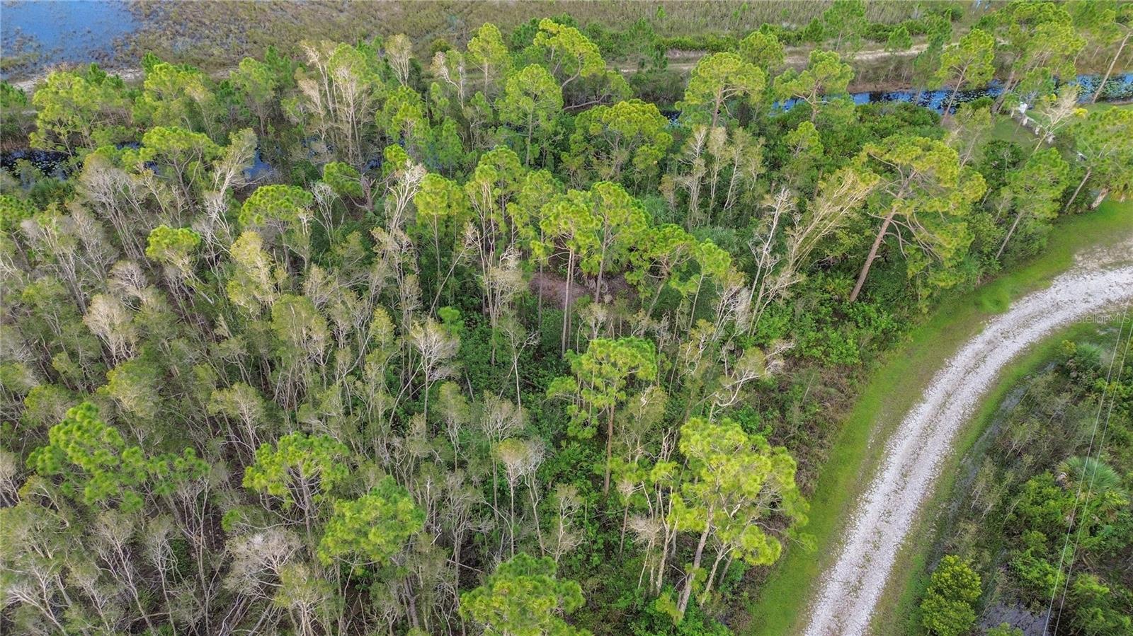 12432 LANDAU CT, PUNTA GORDA, FL — photo 8