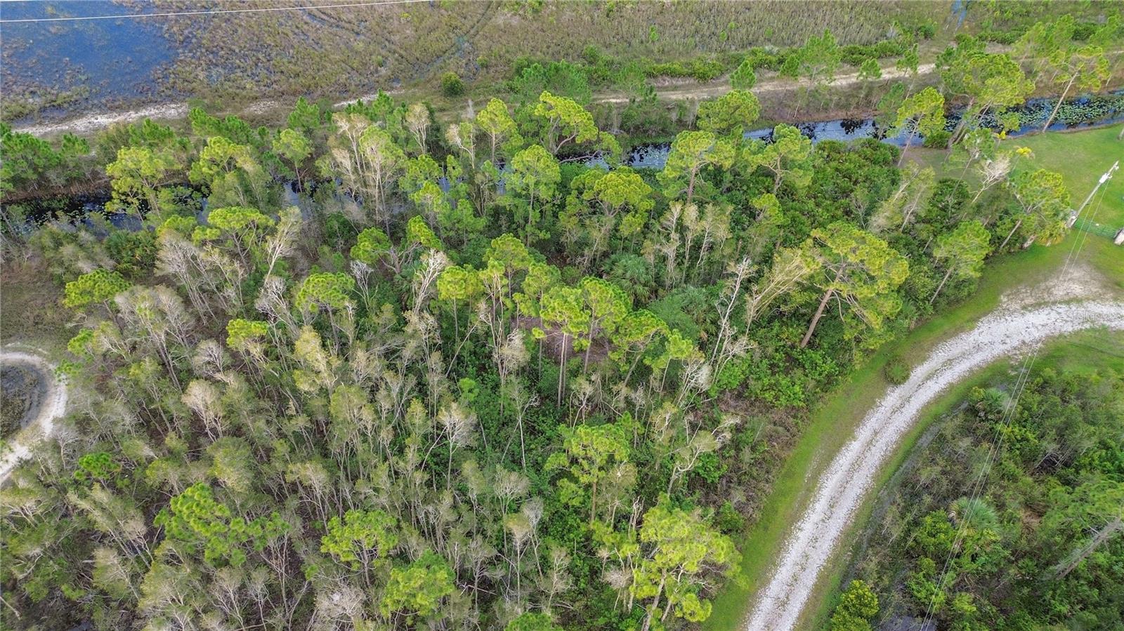 12432 LANDAU CT, PUNTA GORDA, FL — photo 15