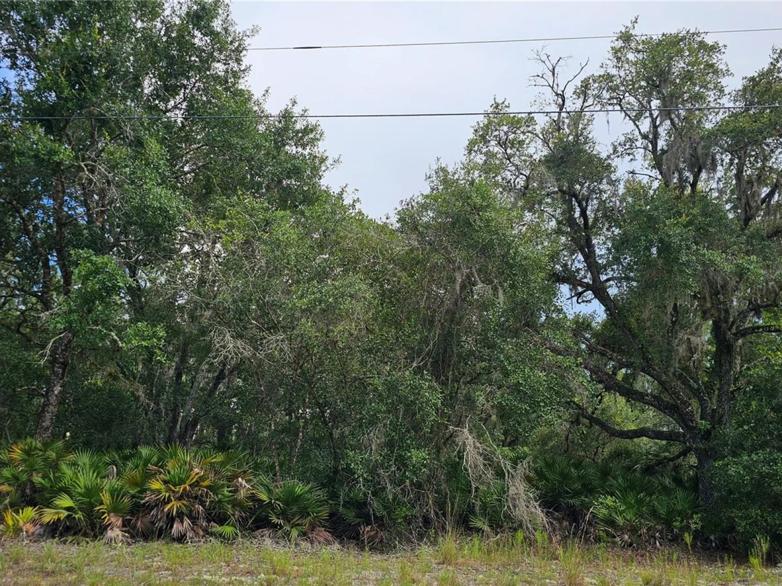 1005 PLUMOSA DR, INDIAN LAKE ESTATES, FL — photo 2