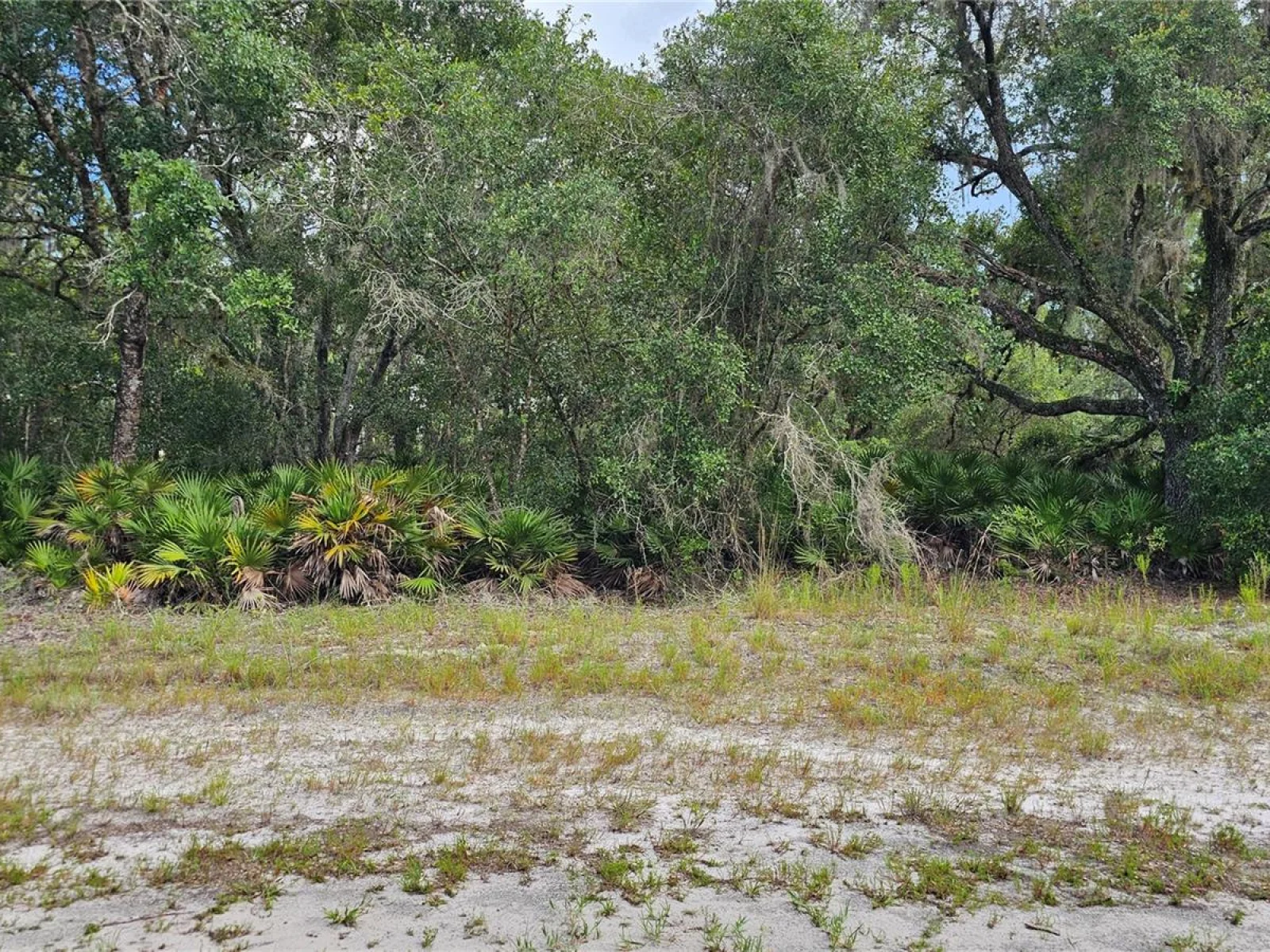 1005 PLUMOSA DR, INDIAN LAKE ESTATES, FL — photo 3