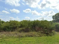 2454 MAGELLAN LOT #03 TER — photo 2