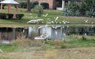 5309 COUNTY ROAD 114D, WILDWOOD, FL — photo 28