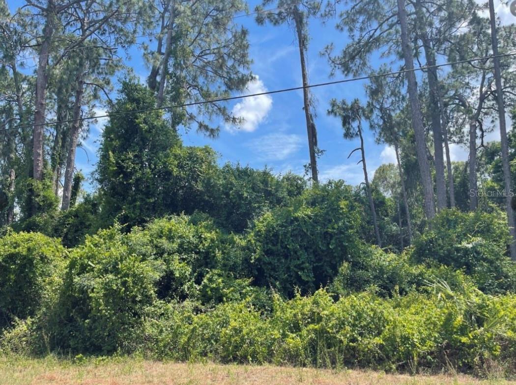SENATE AVE, NORTH PORT, FL — photo 3