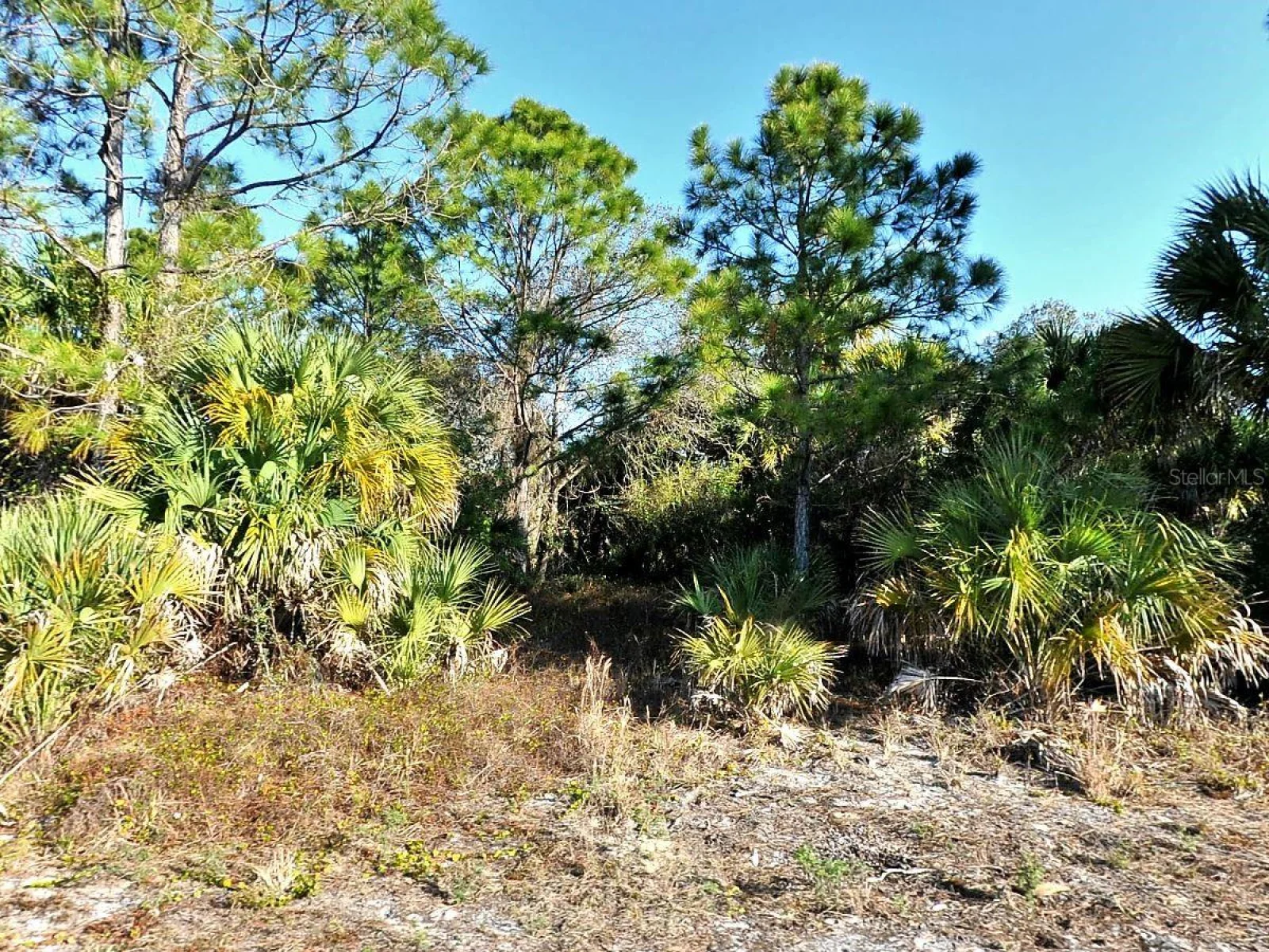 3343 VINEYARD CIR, NORTH PORT, FL — photo 4