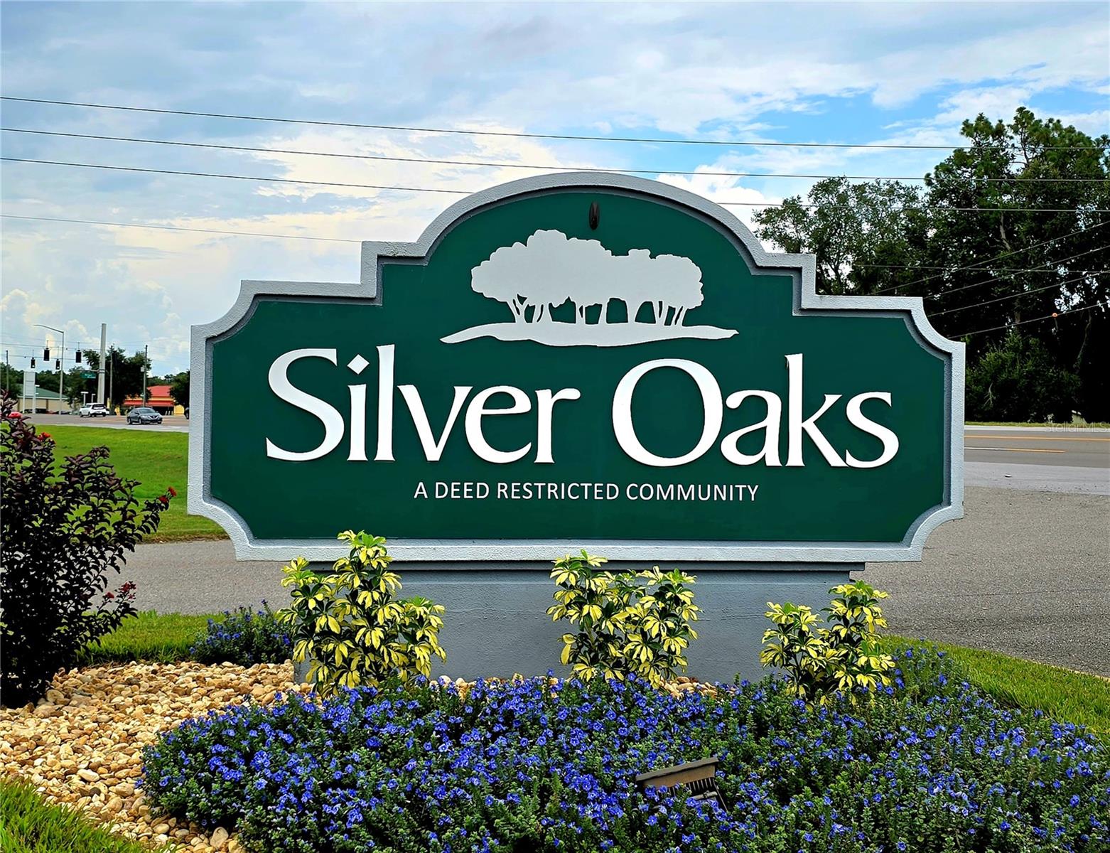 6151 SILVER OAKS DR, ZEPHYRHILLS, FL — photo 56