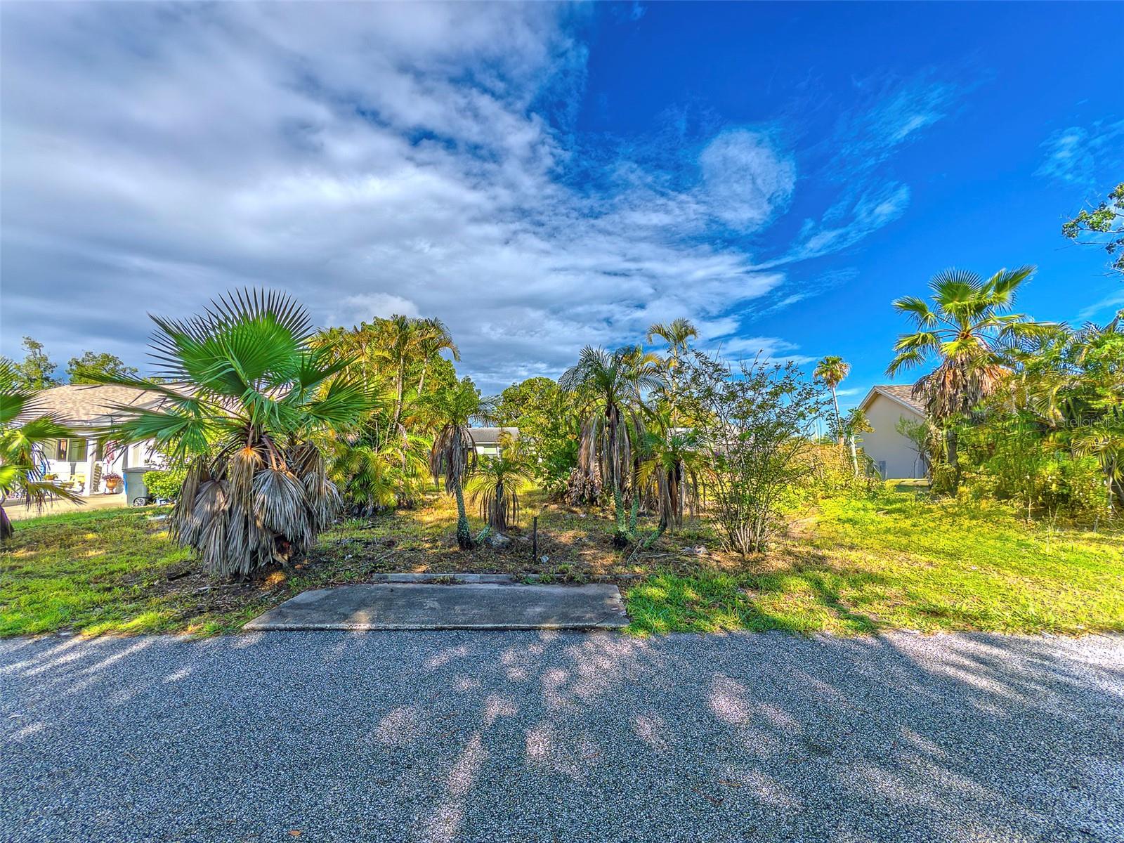 3631 ROCKAWAY DR, HOLIDAY, FL — photo 11
